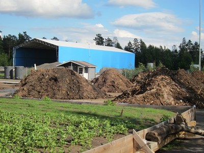 Meadow test and compost test heaps in July 2016